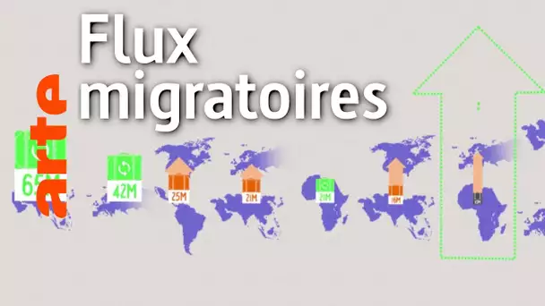 Les principaux flux migratoires vont-ils de l'Afrique vers l'Europe ? | Data Science vs Fake | ARTE