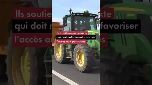 De nombreux agriculteurs manifestent ce lundi pour soutenir la loi Duplomb