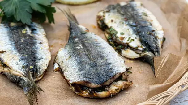 RECETTE #54 - Sardines farcies à la chermoula - Fabrice Mignot