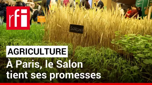 À Paris, un Salon de l'Agriculture ouvert à tous les horizons • RFI