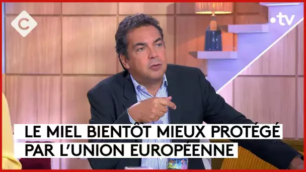 Le miel, un des produits les plus trafiqués au monde - L’Édito - C à vous - 29/09/2023