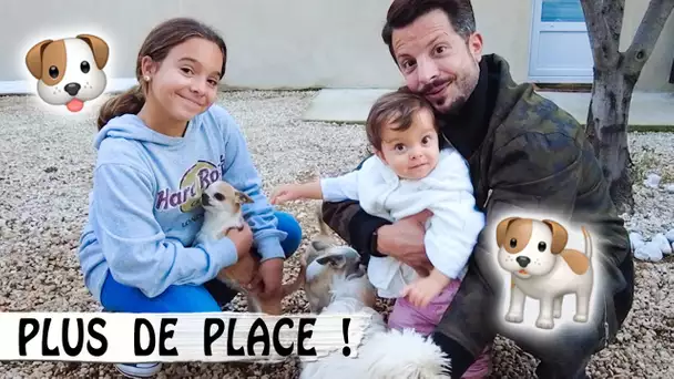 PLUS DE PLACE POUR LES CHIENS !