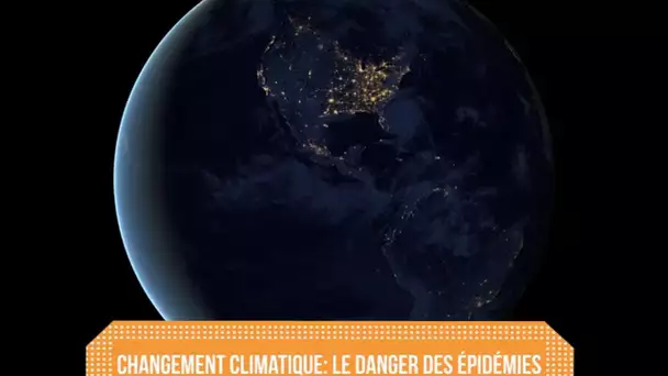 Changement climatique: le danger des épidémies