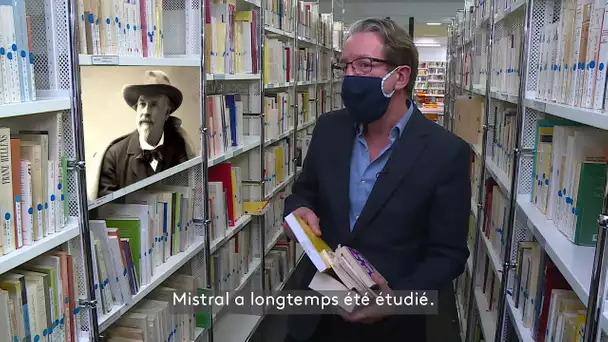 La literatura occitana vista a l'estrangièr