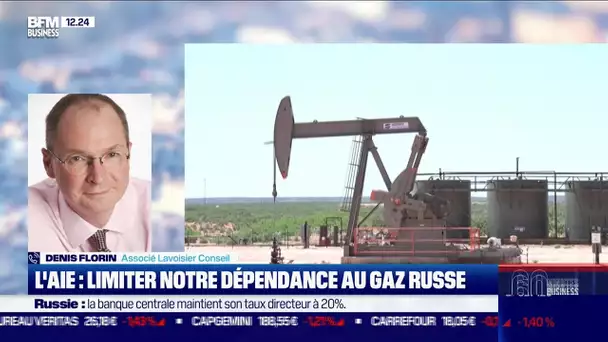 Denis Florin (Lavoisier Conseil) : L'AIE veut limiter notre dépendance au gaz russe