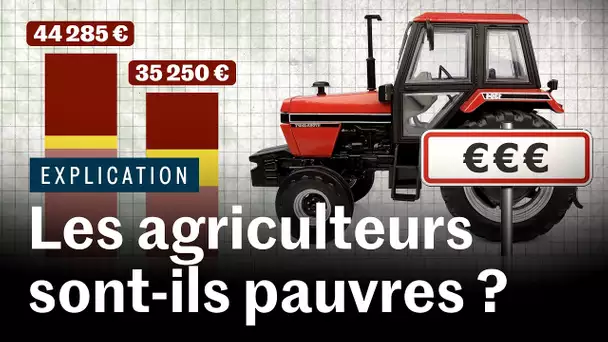 Crise agricole : peut-on encore vivre de l’agriculture en France ?