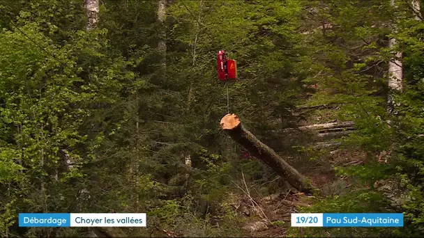 Arette : Débardage forêt d'Issaux  par câble aérien