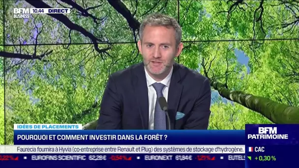 Pourquoi et comment investir dans la forêt ?