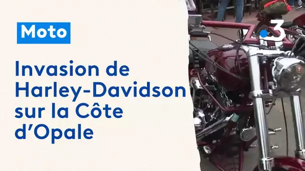 Opale Harley Days : véritable succès pour la 10ème édition qui a réuni 70 000 passionnés de Harley