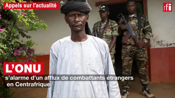 L'ONU s'alarme d'un afflux de combattants étrangers en Centrafrique