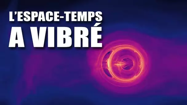 Un TROU NOIR avale une ÉTOILE à neutron et fait vibrer l'espace-temps ! DNDE #105