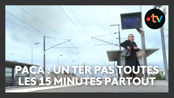 En Paca, un train TER toutes les 15 minutes ? Pas dans toutes les gares...