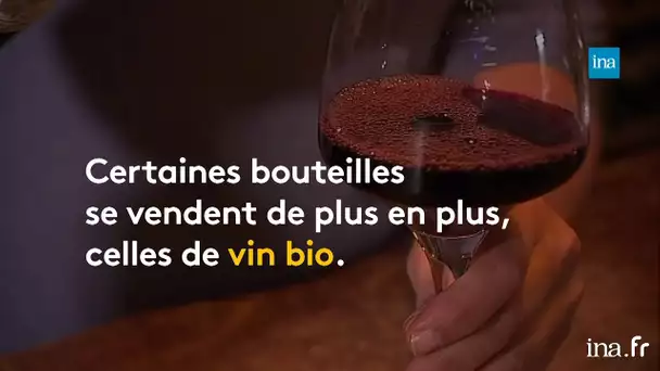 Le vin bio s’est imposé sur nos tables | Franceinfo INA