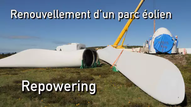 Le parc éolien de Cham Longe, un des premiers chantiers de repowering en France