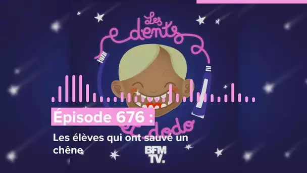 Les dents et dodo - “Épisode 676 : Les élèves qui ont sauvé un chêne”