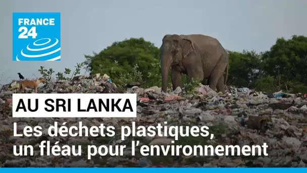 Sri Lanka : les déchets plastiques, un fléau pour l’environnement • FRANCE 24