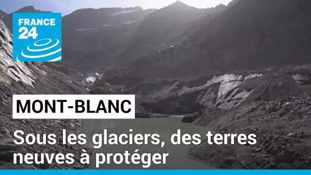 Sous les glaciers, des terres neuves à protéger • FRANCE 24