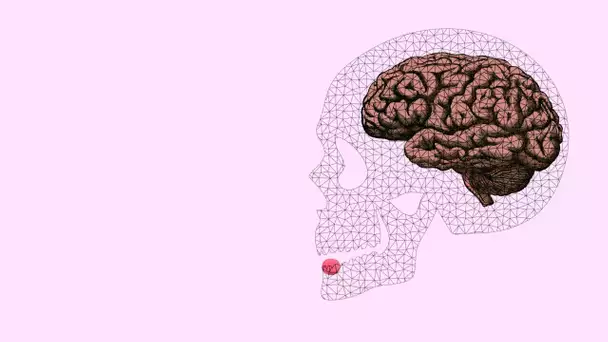 La pilule contraceptive a des effets sur votre cerveau que vous ignorez peut-être