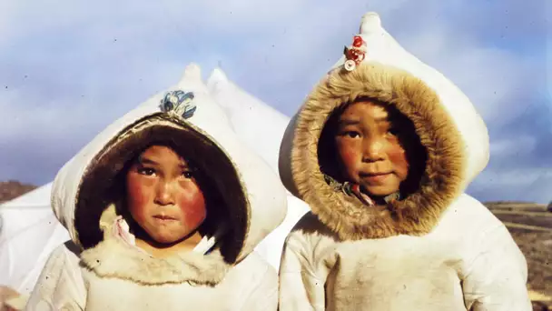 Les enfants du désert - Joanasi, enfant de la banquise