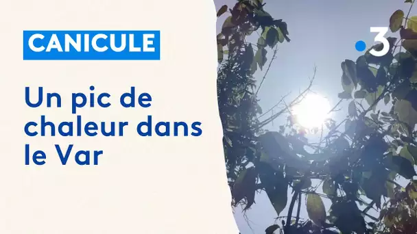 Brignoles : distribution d'eau pour lutter contre la canicule