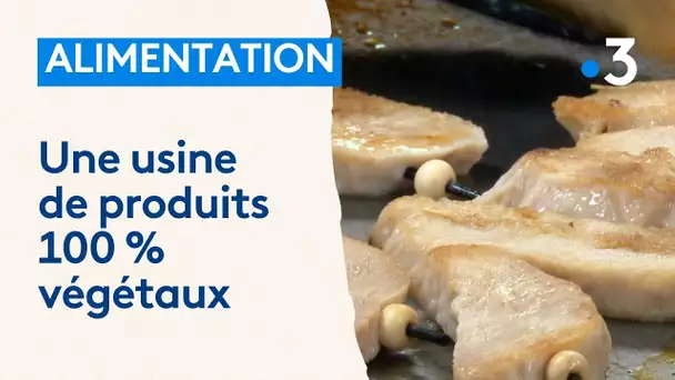 Alimentation : une pâte végétale reproduisant le goût et la texture des viandes et des poissons