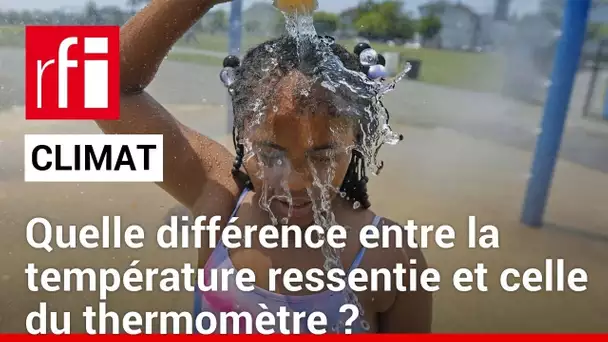 Climat : au Brésil, un ressenti à plus de 60°C • RFI