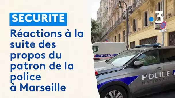 Sécurité : réactions à la suite des propos du patron de la police