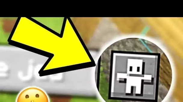 Le MENU MINECRAFT SECRET que PERSONNE ne connait ! (epic)