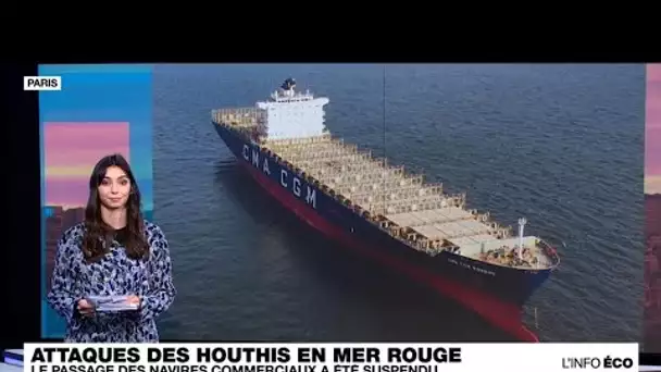 Attaques des Houthis en mer Rouge : le passage des navires commerciaux suspendu • FRANCE 24