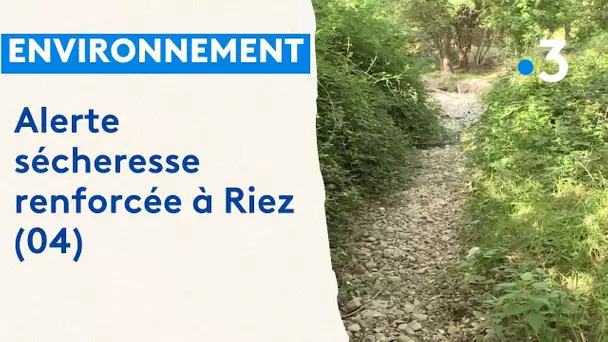 Sécheresse dans les Alpes de Haute Provence : situation de crise à Riez
