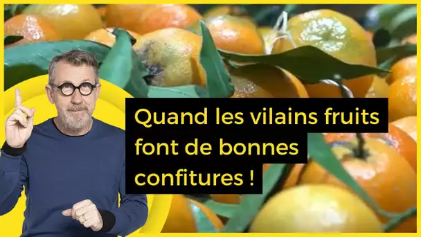 Quand les vilains fruits font de bonnes confitures ! - C Jamy