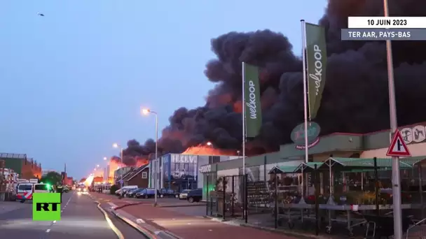 Pays-Bas : les habitants priés de rester chez eux alors qu'un incendie engloutit le parc industriel