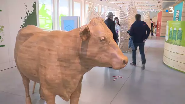 Ouverture de la maison du Comté à Poligny