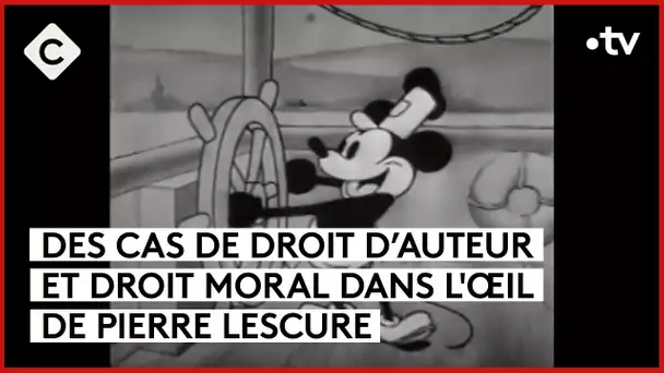 Droit d’auteur et droit moral - L’Oeil de Pierre - C à Vous - 08/01/2024