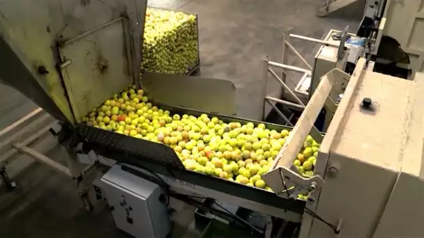 Recycler les balles de tennis pour en faire des terrains synthétiques