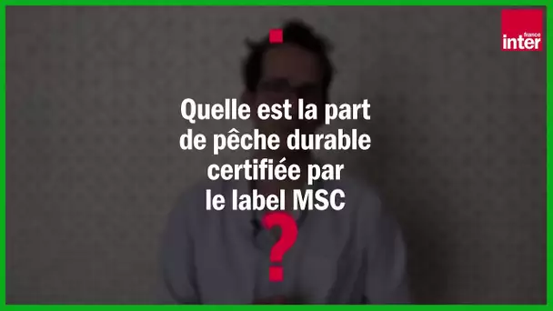 Frédéric Le Manach : "Le label MSC certifie "durable" de la pêche industrielle destructrice"