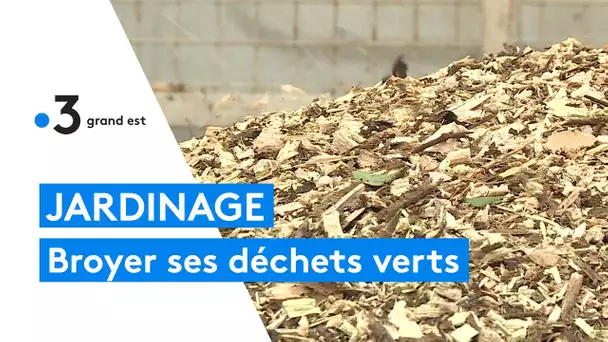 Jardinage : favoriser le broyage des déchets verts pour ses multiples atouts