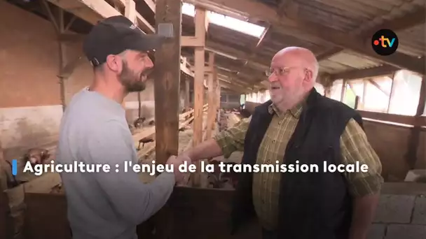 Agriculture : l'enjeu de la transmission locale