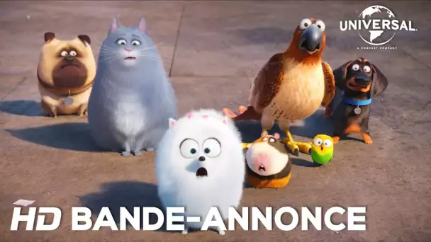 Comme Des Bêtes / Bande-annonce officielle 2 VOST [Au cinéma le 27 juillet 2016]