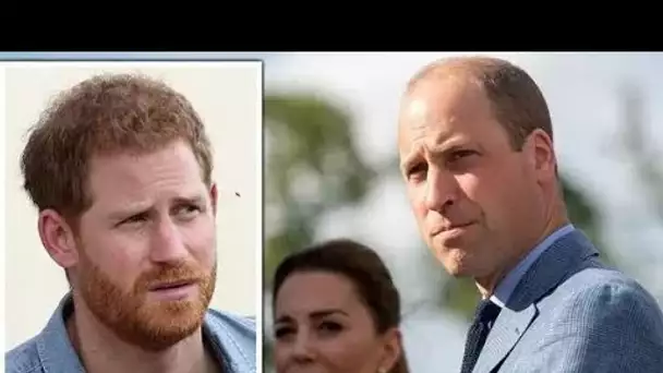William "n'invitera pas Harry à son couronnement" car la relation entre son frère est "inexistante"