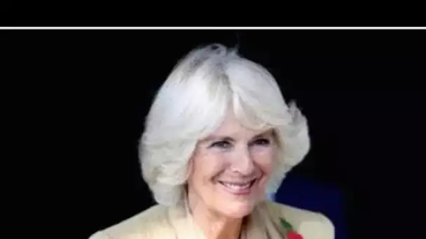 Camilla balaie officiellement le rôle majeur de Meghan Markle alors que le dernier clou martelé dans