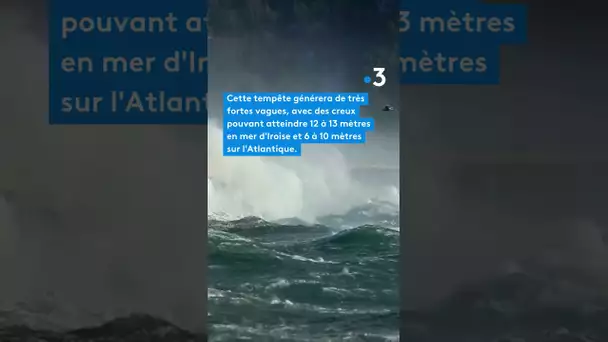 Ciaran "tempête majeure"  attendue dès mercredi avec des vents jusqu'à 150 km/h en Pays de la Loire