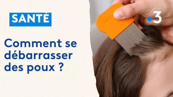 Pourquoi les poux sont-ils aussi résistants ?