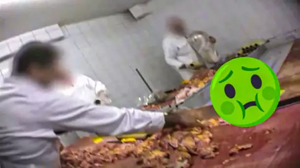 Kebab, enquête sur les usines à viande