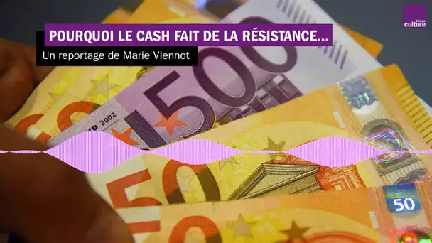 Pourquoi le cash fait de la résistance...