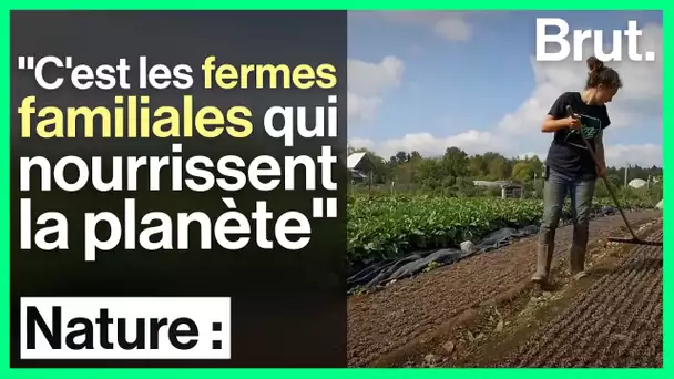 Un modèle de ferme bio intensive pour transformer l'agriculture mondiale