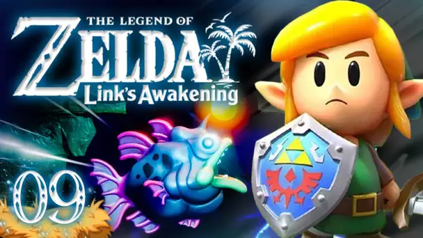 Zelda Link's Awakening HD : Abîme du poisson ! #09