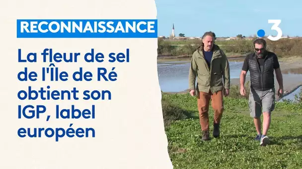 La fleur de sel de l'Île de Ré obtient son IGP par la Commission Européenne