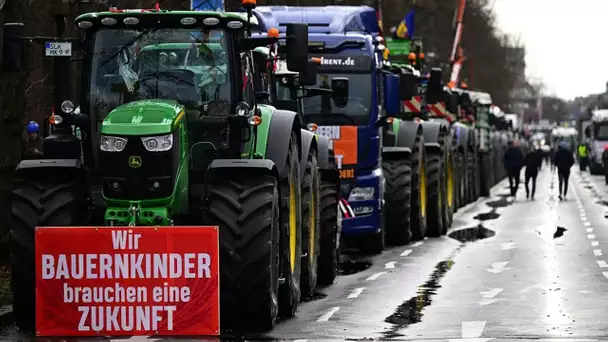 Révolte agricole aux Pays-Bas : quelles leçons peut-on en tirer ?