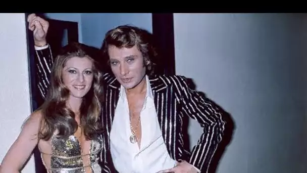 Johnny Hallyday préférait l’amitié virile  Sheila explique pourquoi ils n’étaient pas très proches